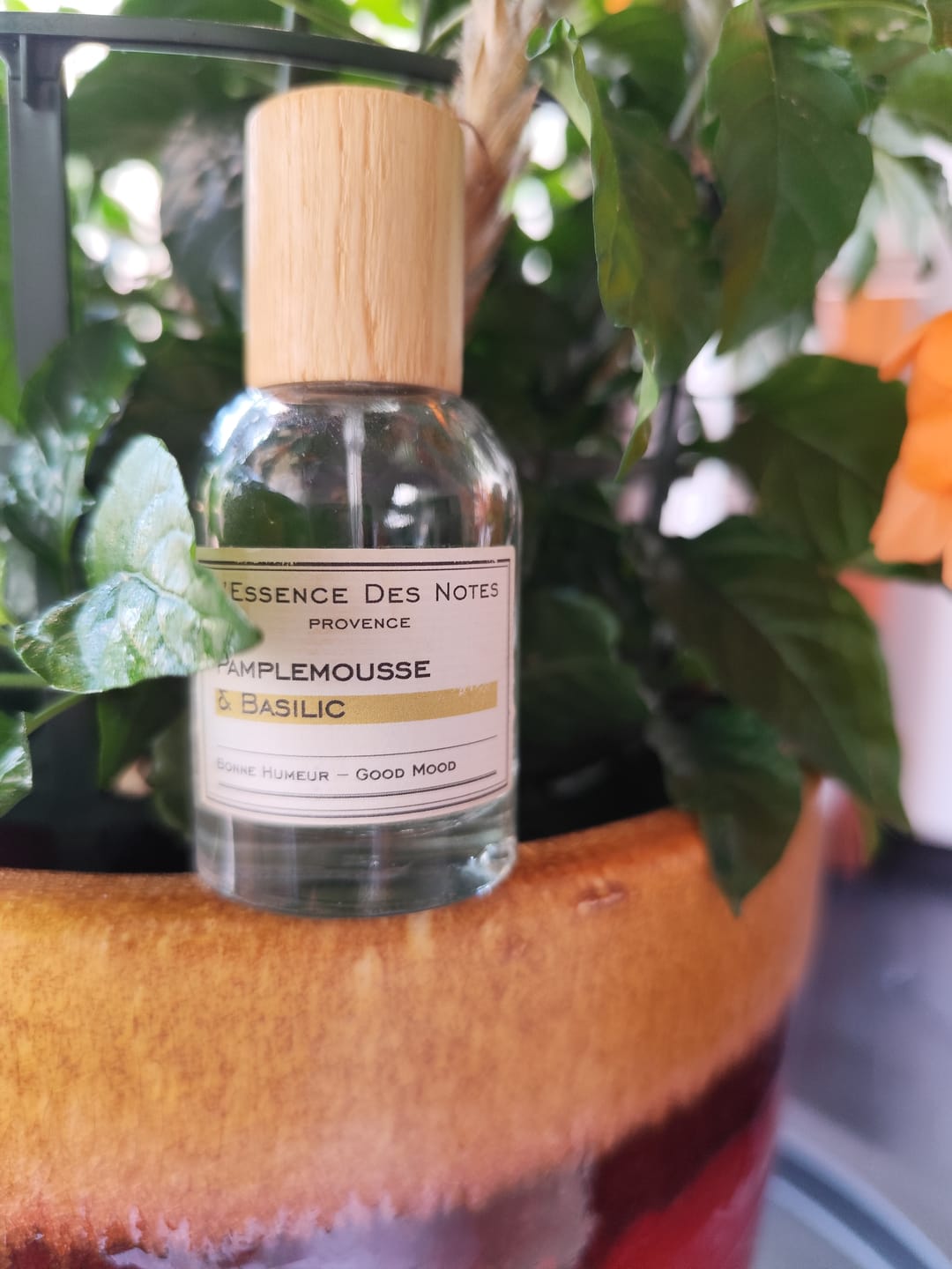 Customer photo review of Pamplemousse & Basilic