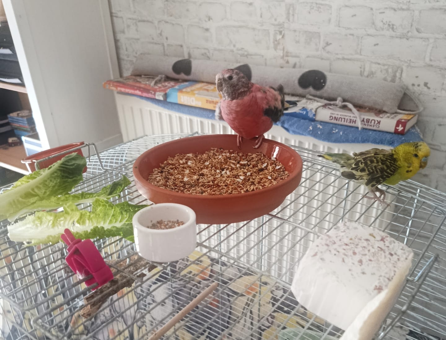 Customer photo review of Welli Mix 1