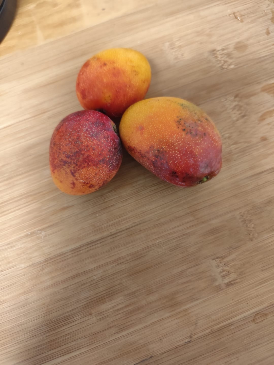 Customer photo review of Baby-Mango Irwin Bio von Julian
