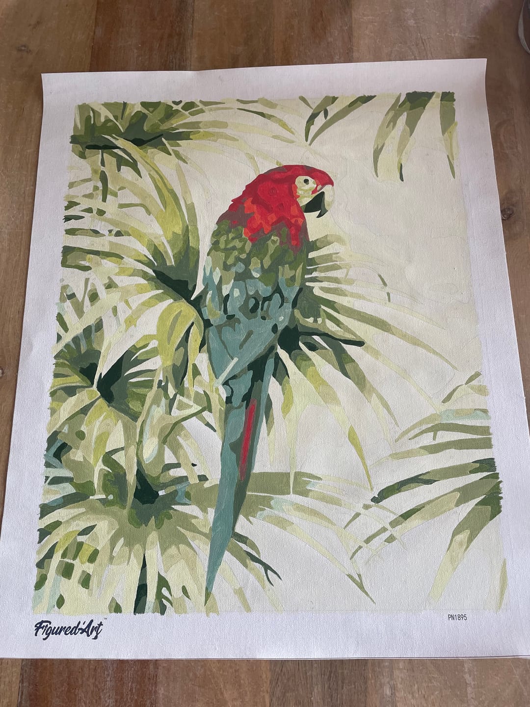 Customer photo review of Perroquet et Plante verte