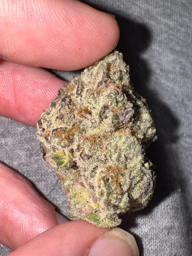 Customer photo review of Happy Hour THCA Flower