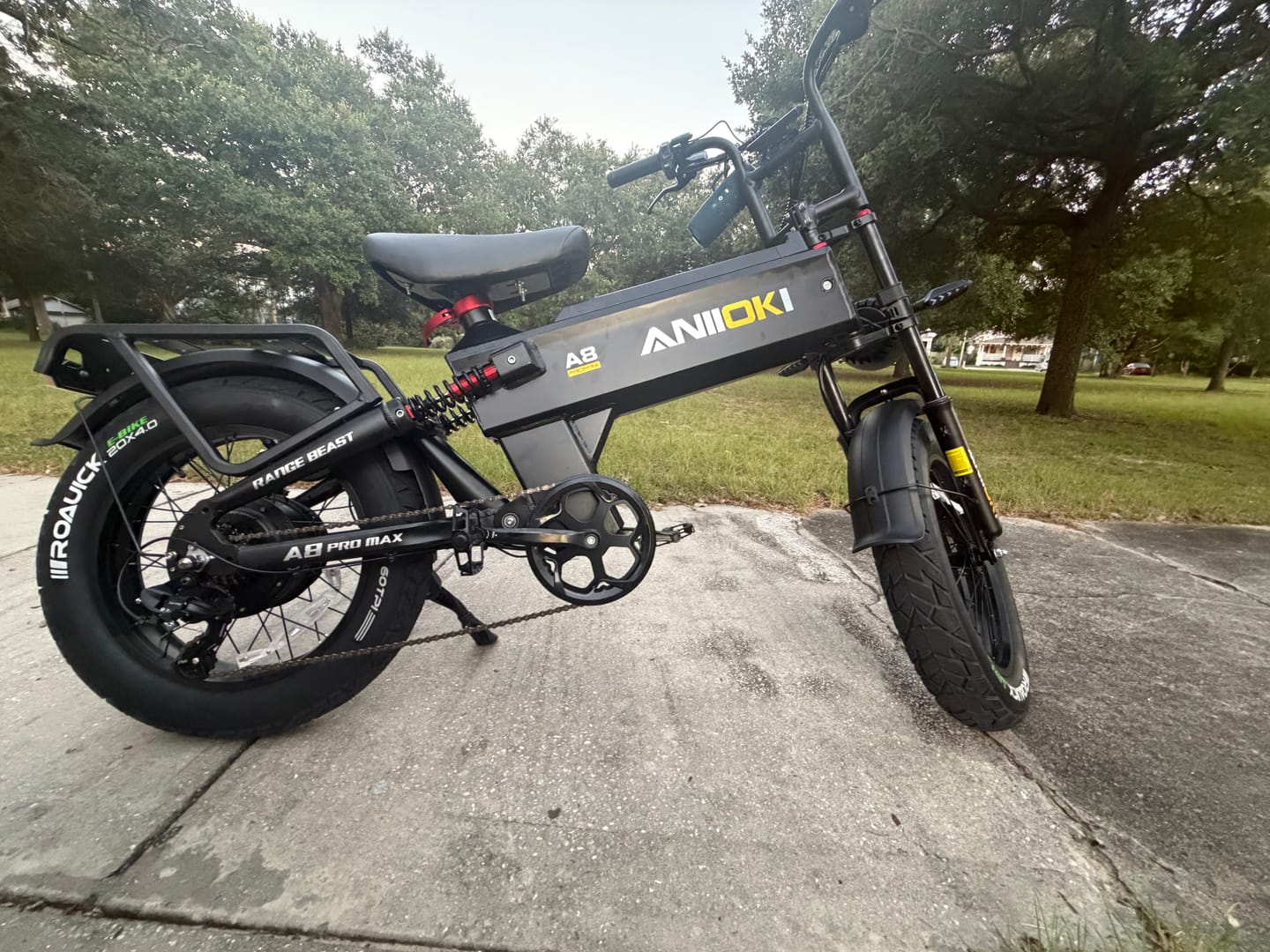Customer photo review of A8 Pro Max eBike(2026)