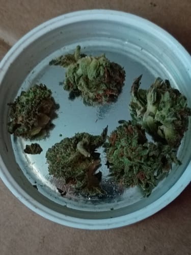 White Nerds - Minis - 28 Grams - Hybrid photo review