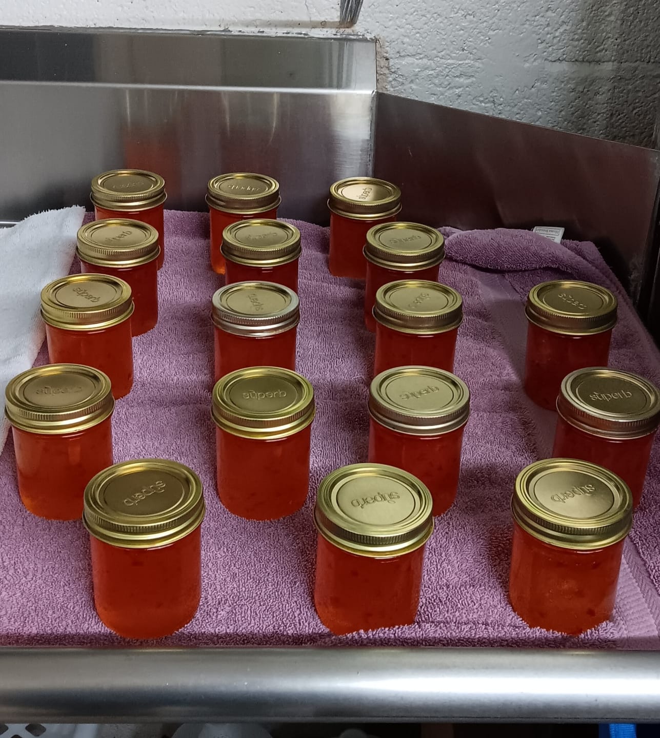 Customer photo review of Bulk Regular Mouth Canning Lids – 156 Pack