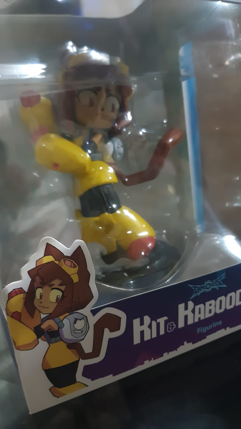 Customer photo review of Kit & Kaboodle Animatez