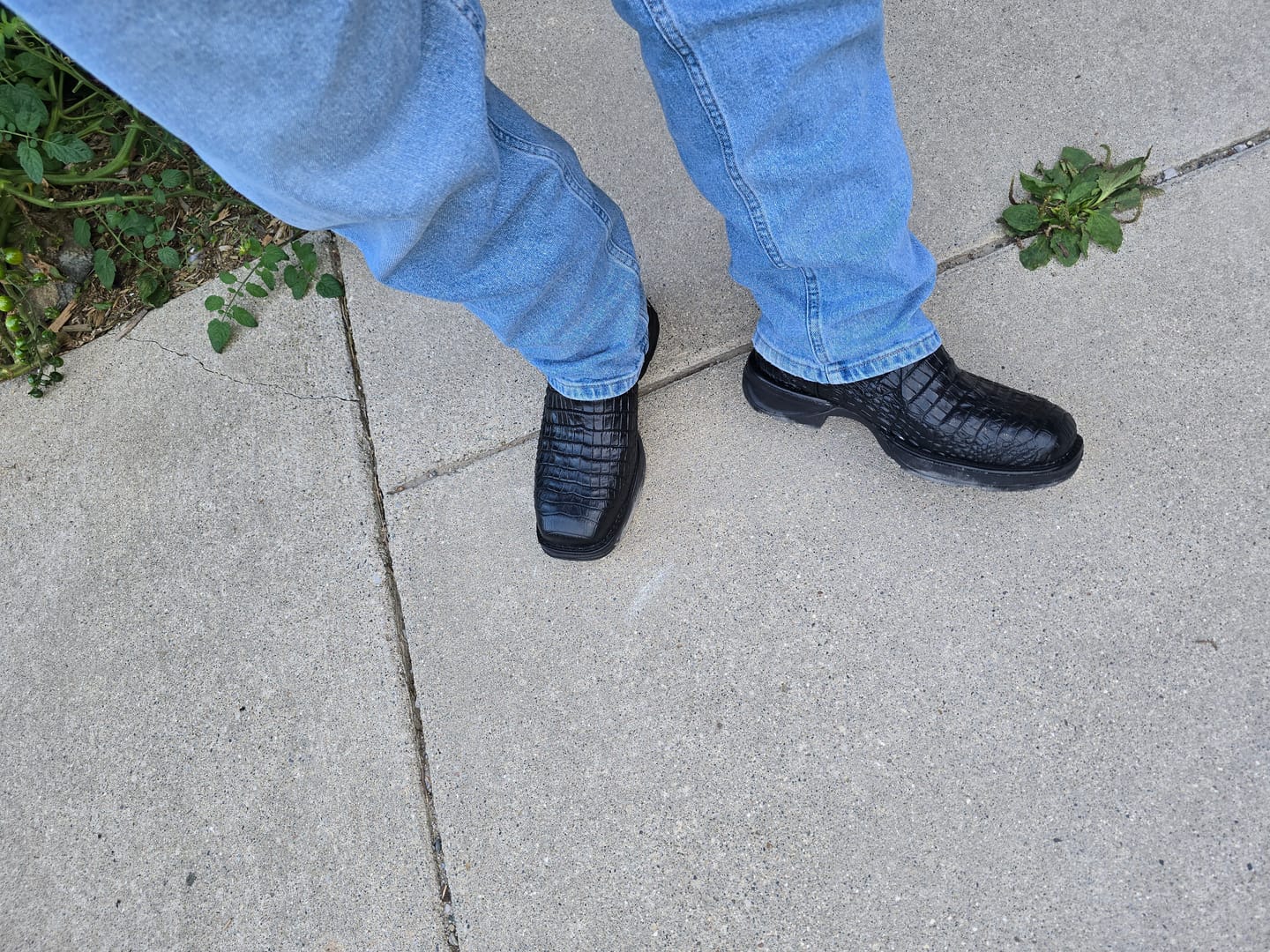 Customer photo review of Cowboy Work Boot Black Alligator Caiman Belly