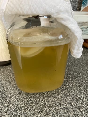 Kundenfoto des Kombucha Tee Pilzes in einem Glasgefäß, abgedeckt mit einem weißen Tuch zur Fermentation.
