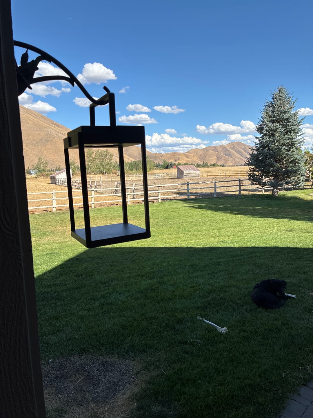 Customer photo review of Luxury Metal Solar Lantern