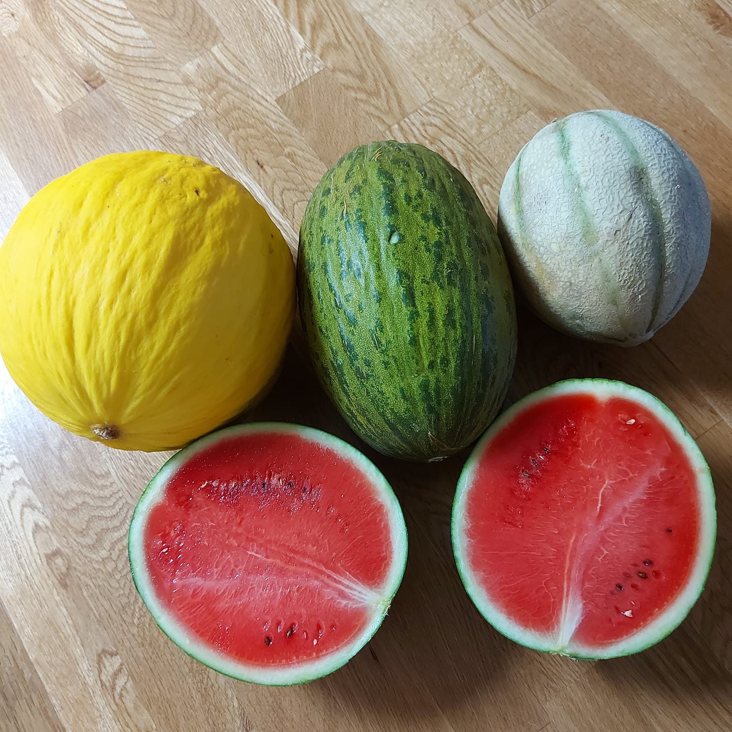 Customer photo review of Melonen Bio Retterbox 6,5kg