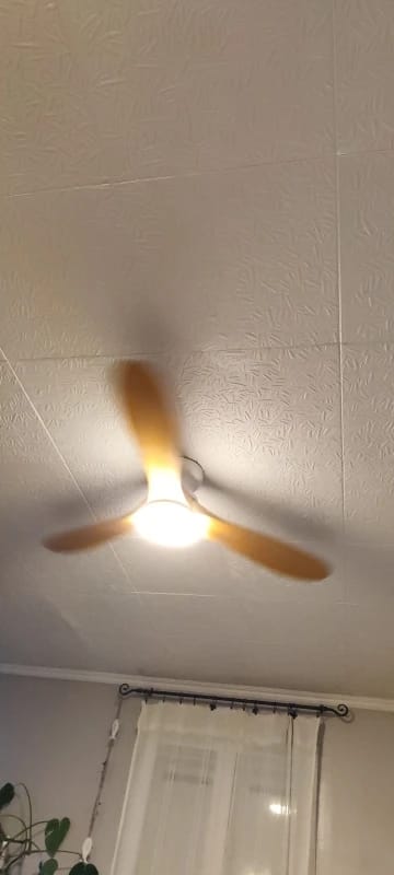 Customer photo review of Solid Wood Blade Ceiling Fan Light With Integrated LED and DC Motor