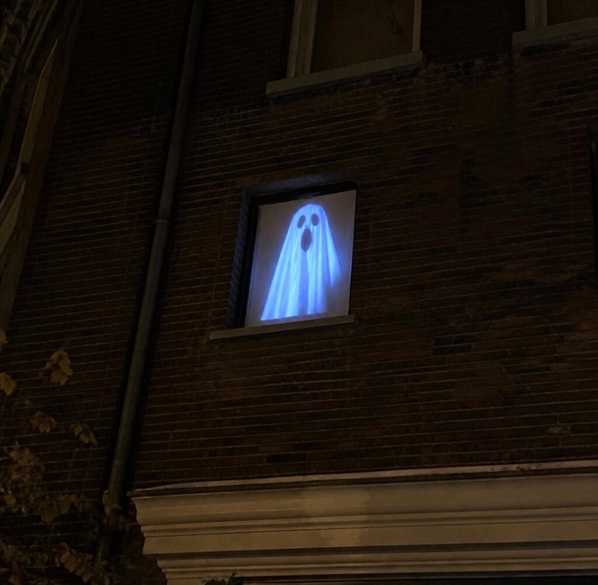 Customer photo review of DarkCast Halloween Projector™