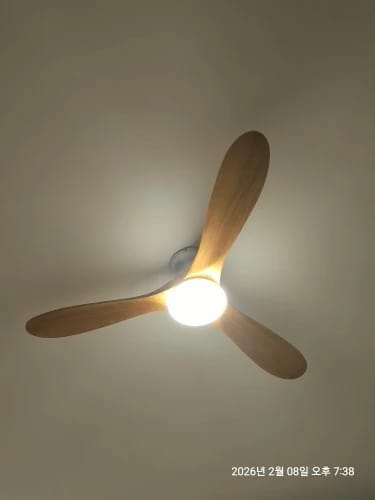 Customer photo review of Solid Wood Blade Ceiling Fan Light With Integrated LED and DC Motor
