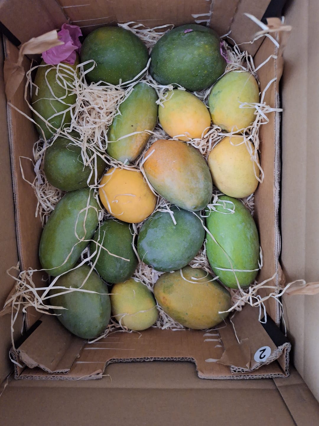 Customer photo review of Ägyptische Mango Entdeckerbox