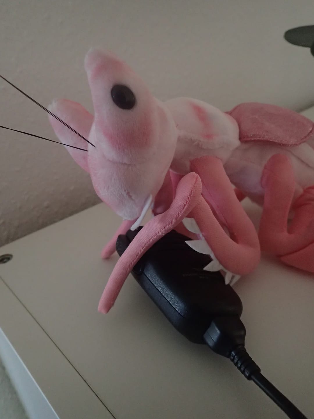 Customer photo review of Pink Orchid Mantis Soft Stuffed Plush Toy
