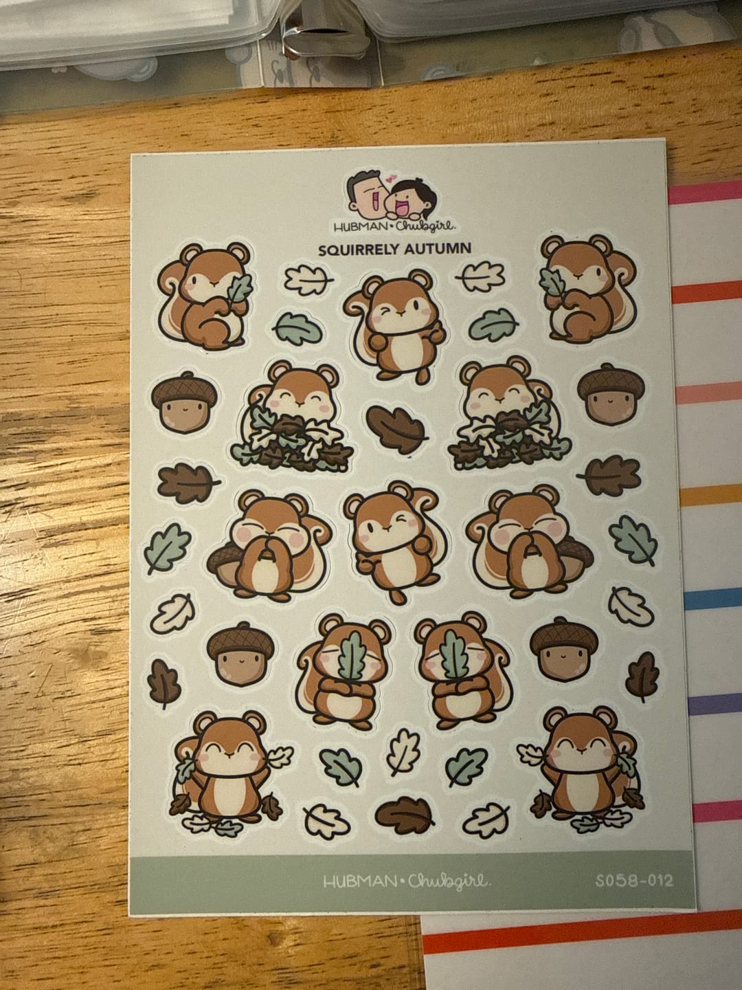 Customer photo review of Squirrely Autumn Sticker Sheet