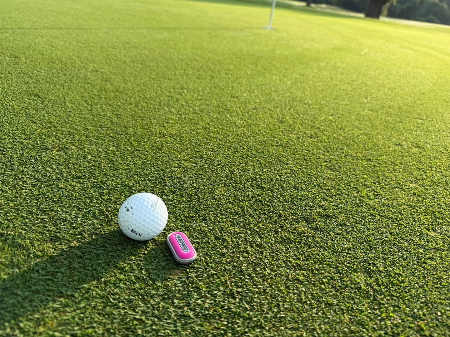 Customer photo review of Birdiedryl Ball Marker