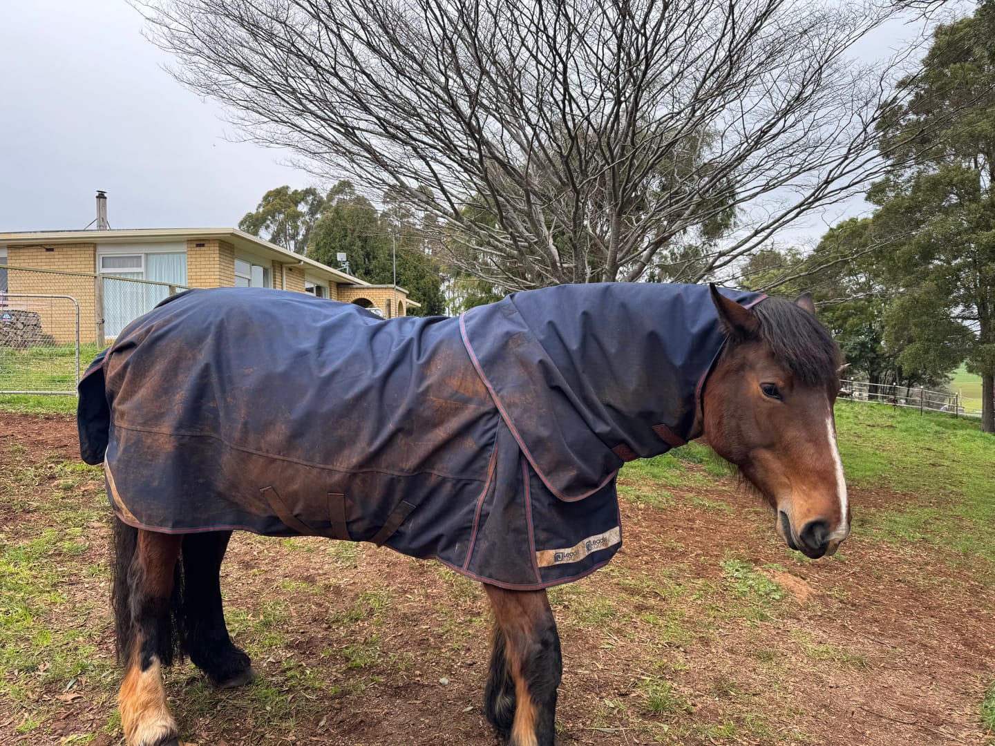 Customer photo review of LE Boxter Turnout Ripstop 0g with Fleece