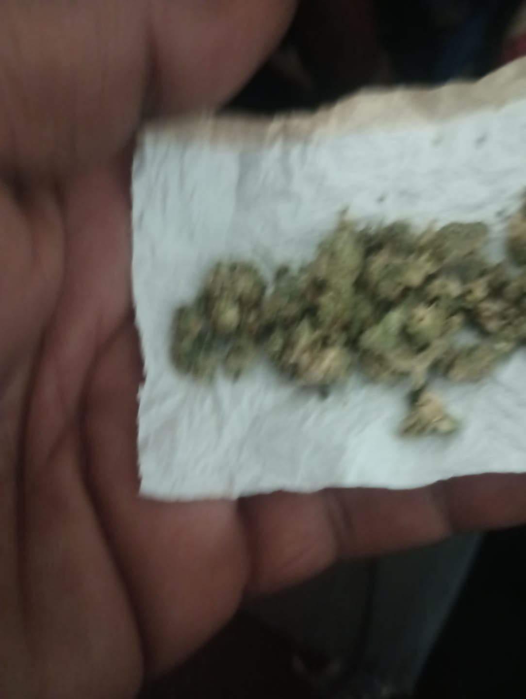 Customer photo review of Biscotti THCA Flower (Budget)