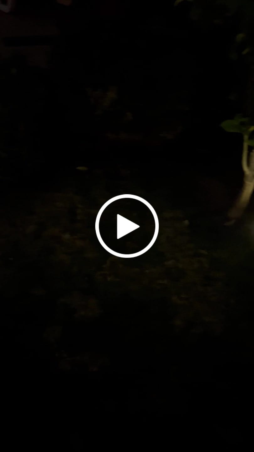Customer video review of Set de 4 Estacas Acero Inoxidable Solar - Luz Cálida o Fría / IP65