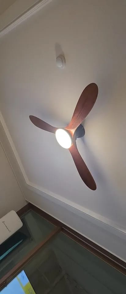 Customer photo review of Solid Wood Blade Ceiling Fan Light With Integrated LED and DC Motor