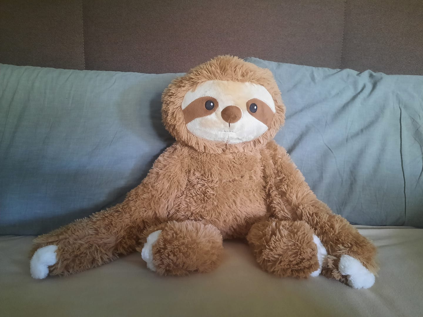 Customer photo review of Lotgenootje Luiaard 2,5kg