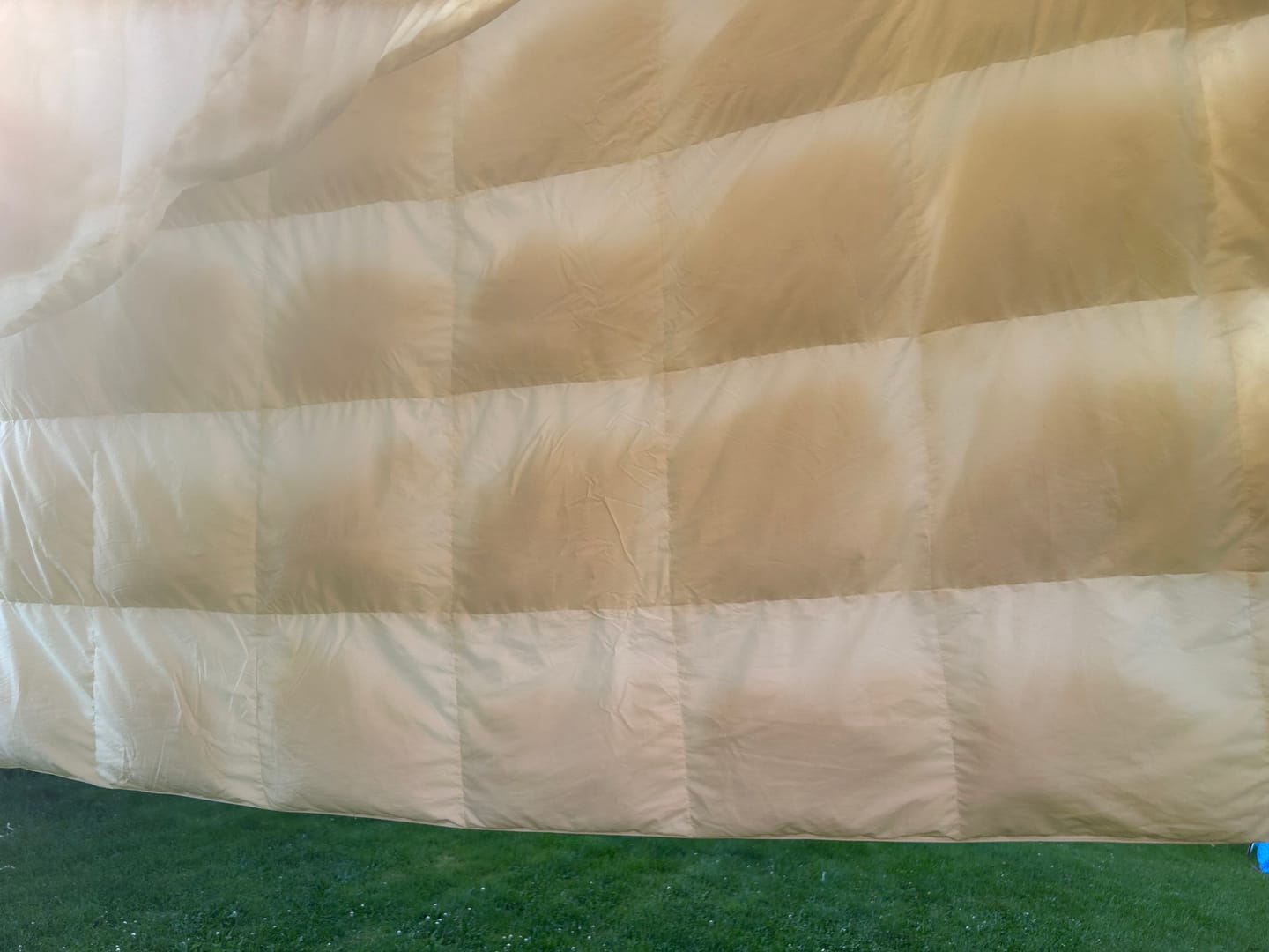 Customer photo review of Organic Cotton Goose Down Comforter