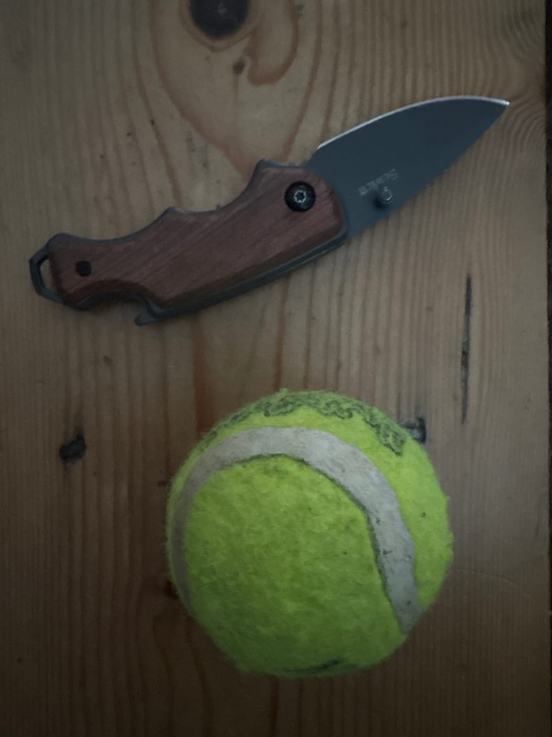 Customer photo review of Scarlett - EDC