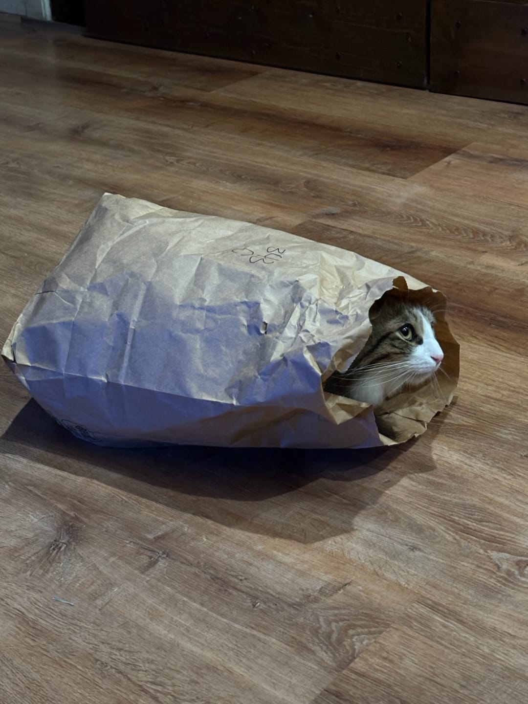 Customer photo review of Bark-Less Bites