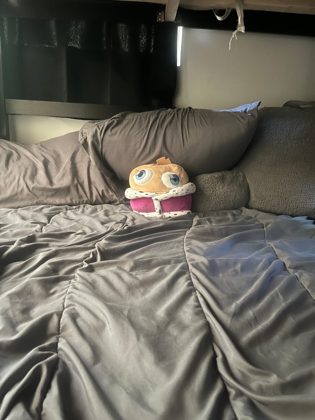 Customer photo review of Kinger Pillow Plush