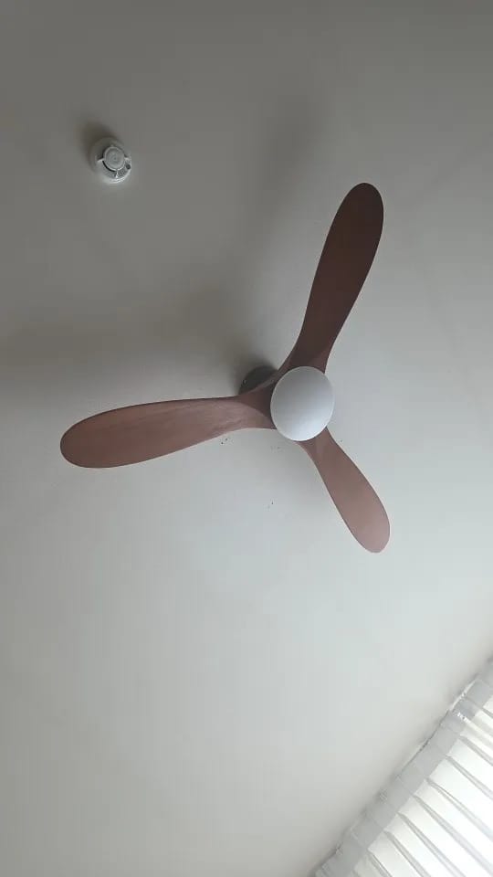 Customer photo review of Solid Wood Blade Ceiling Fan Light With Integrated LED and DC Motor