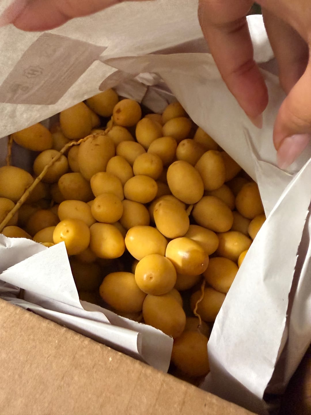 Customer photo review of Organic Yellow Barhi Dates (Khalal Barhi Dates)