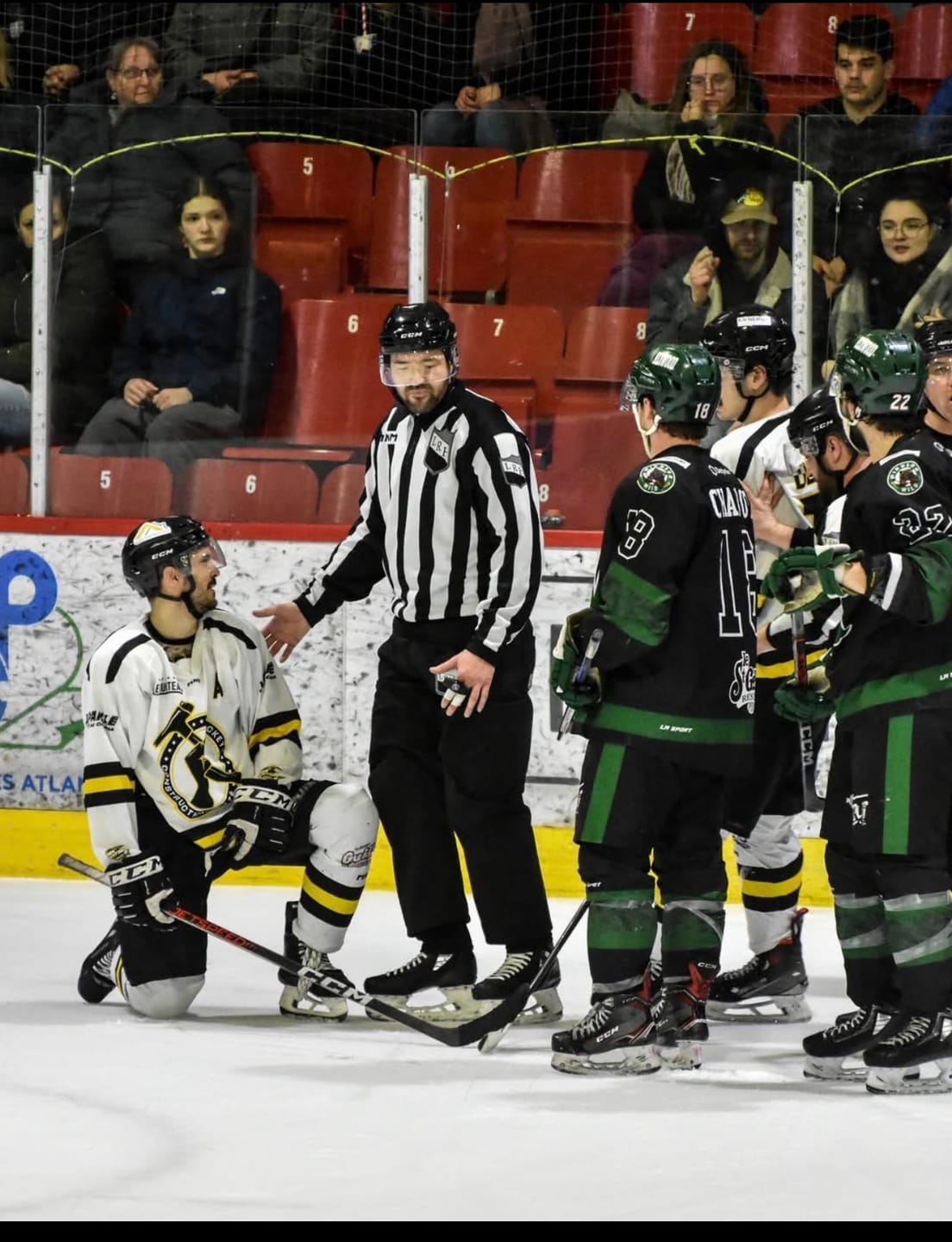 Customer photo review of ZP-PRO HOCKEY REFEREE PADDED PANTS