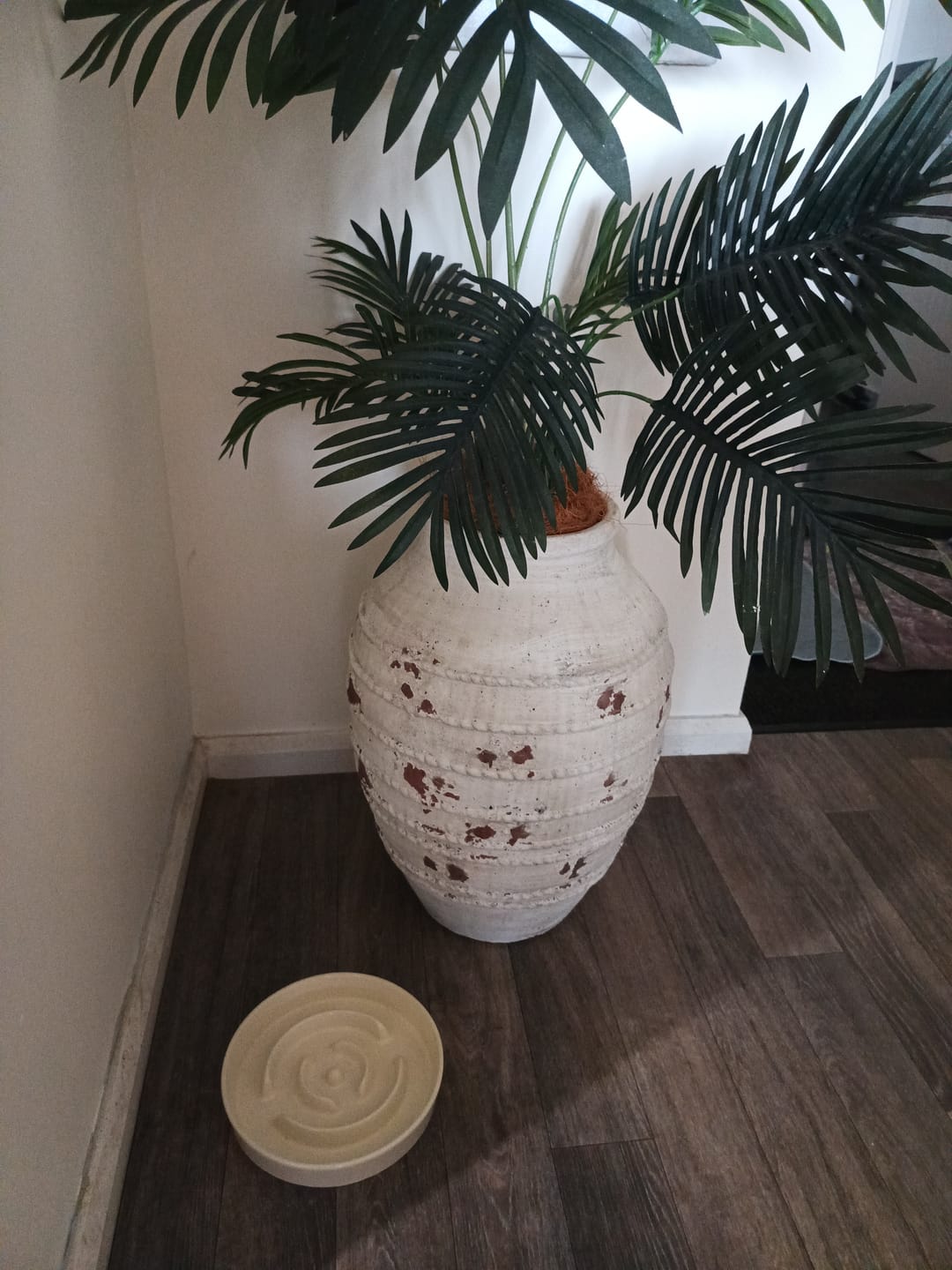 Customer photo review of Ceramic Slow Feeder Pet Bowl for Dogs and Cats