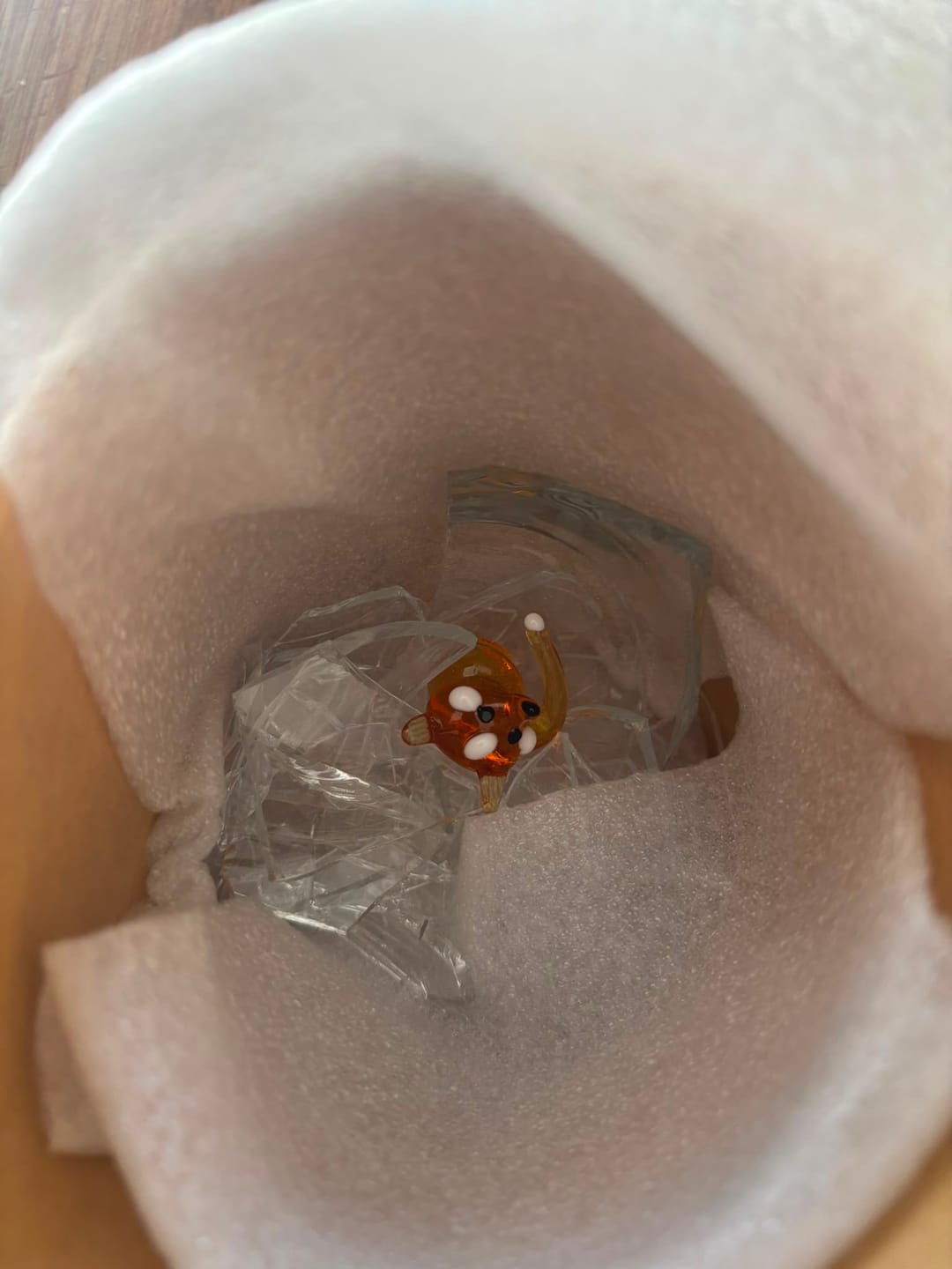 Customer photo review of Fox Glass