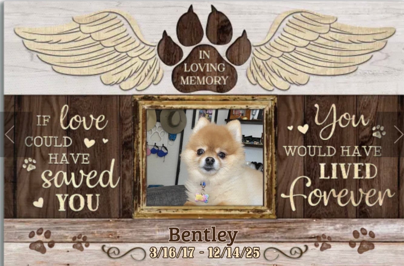 Customer photo review of Personalized Canvas Prints, Custom Photo, Gift For A Dog Lover, Loss Dog, Pet Gifts, Pet Memorial, If Love Could Have Saved You Dem Canvas