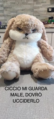 Customer photo review of Pompón™ El Peluche Gruñón