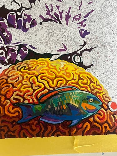 Customer photo review of Sea Turtle Paradise
