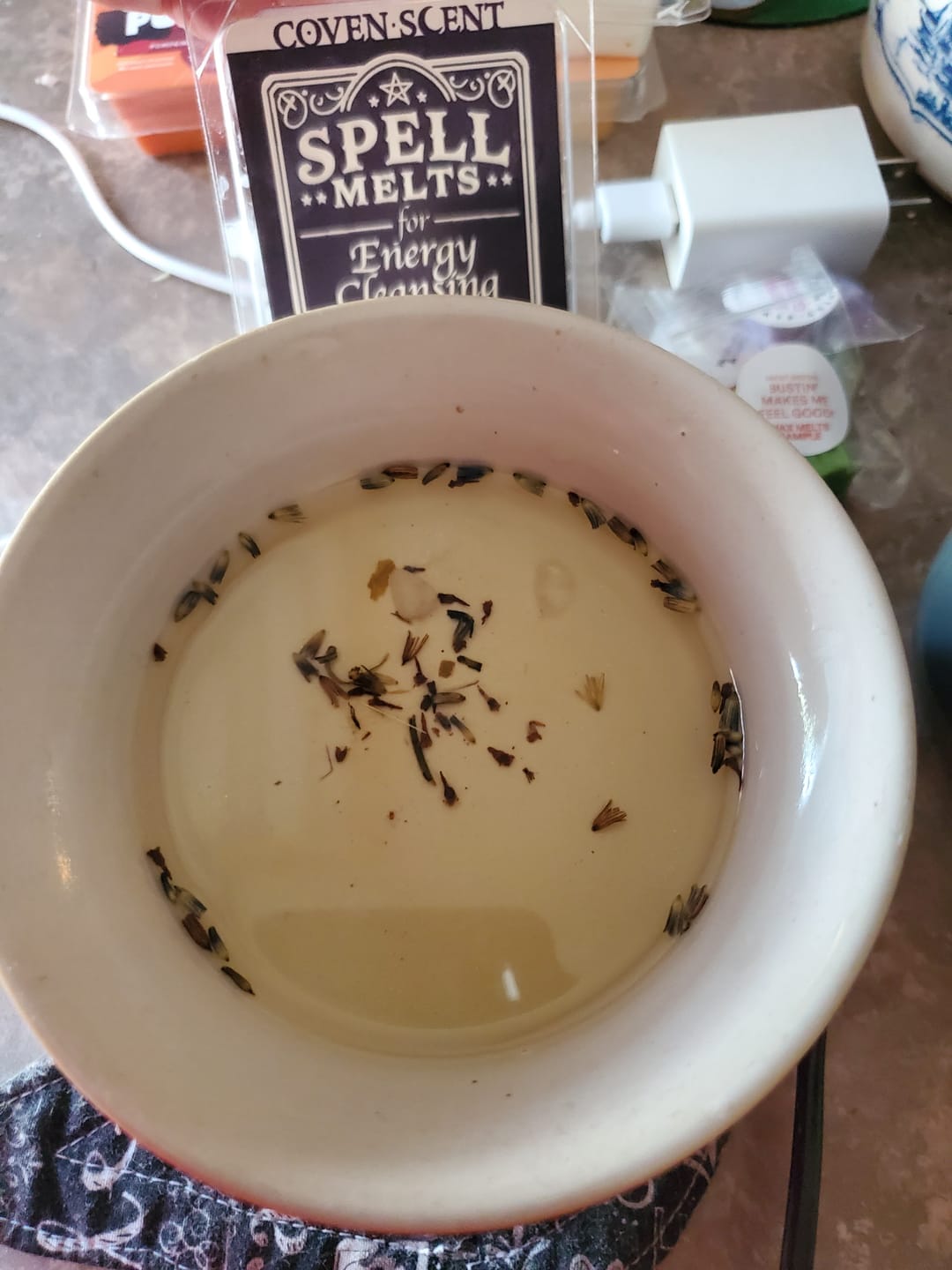 Customer photo review of Spell Melts for Energy Cleansing Wax Melts