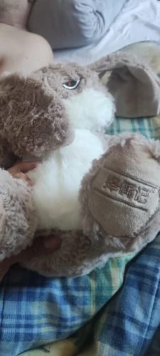 Customer photo review of Pompón™ El Peluche Gruñón