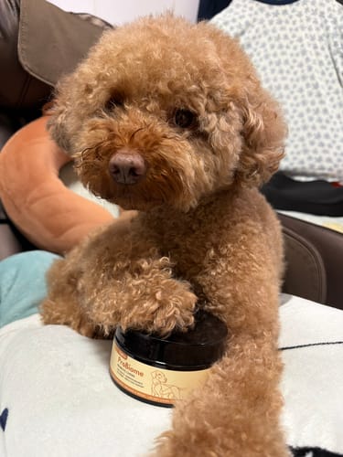 Customer's brown fluffy dog resting its paw on a ProBiome狗狗益生菌軟粒瓶罐。