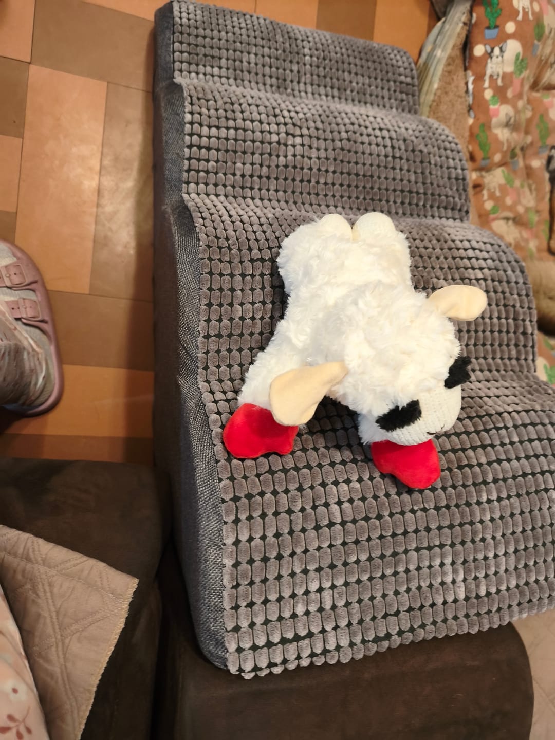 Customer photo review of Rampa Pendiente Suave THE DOGS