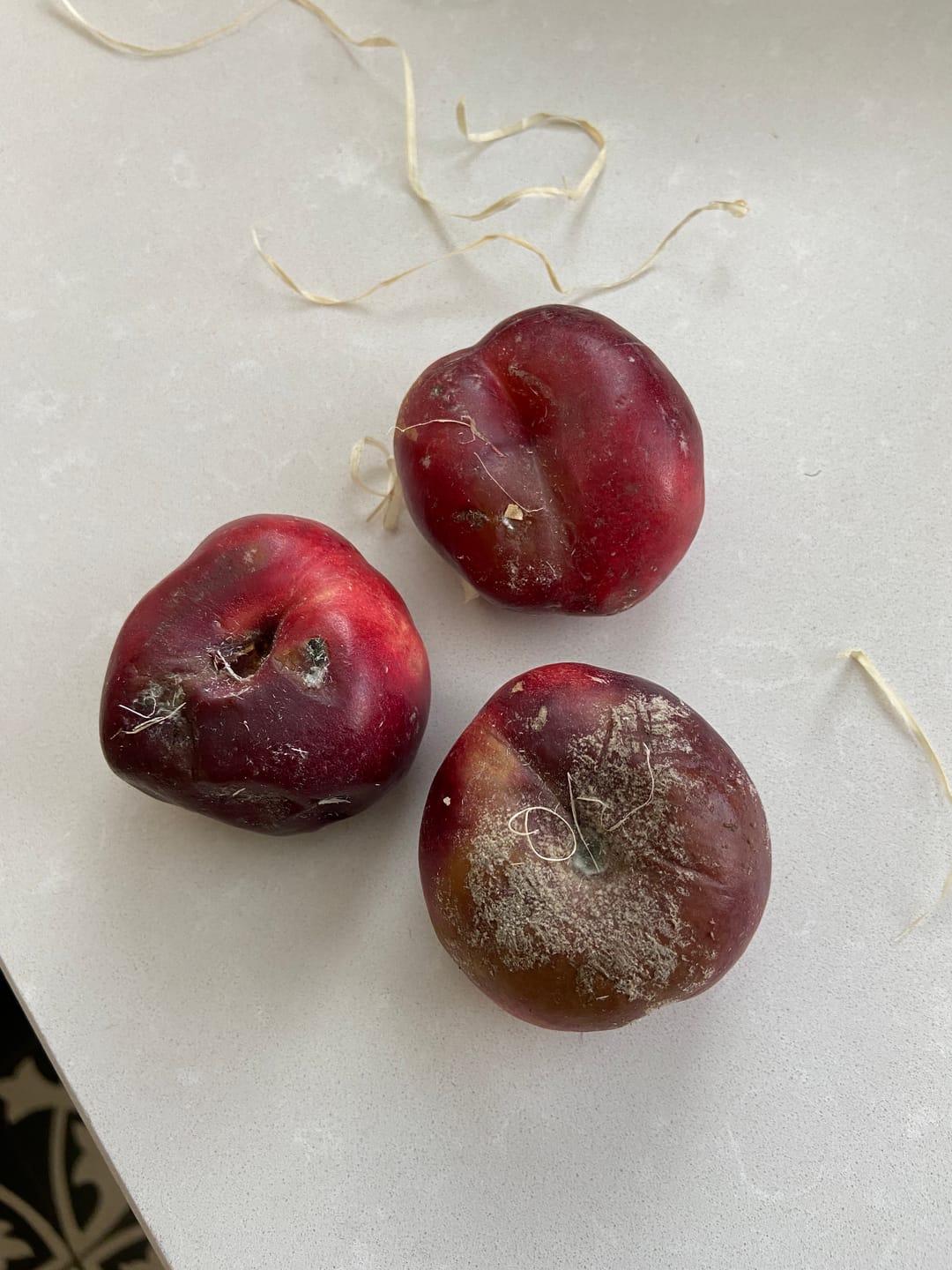 Customer photo review of Mini Weinberg-Nektarinen Bio von Nicolas 3kg Retterbox