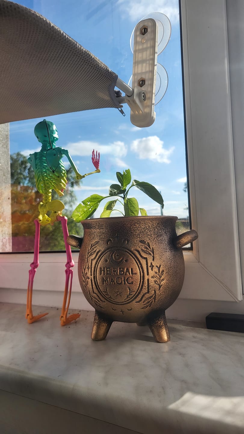 Customer photo review of Herbal Magic Kessel-Blumentopf – Terrakotta Pflanzenkessel in Bronzeoptik