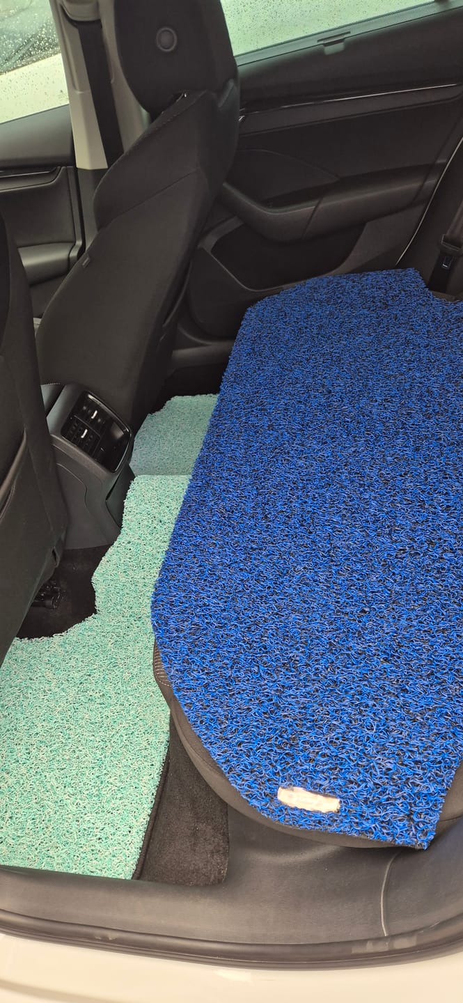 Customer photo review of Snug Rider Mat: Pet-Friendly Passenger Seat Mat