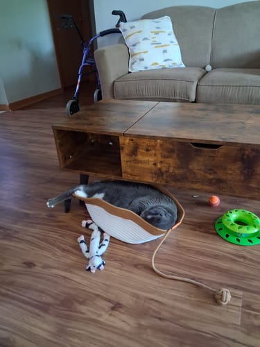 Customer's gray cat sleeping comfortably in an Instinct Basket placed on a wood floor under a coffee table.