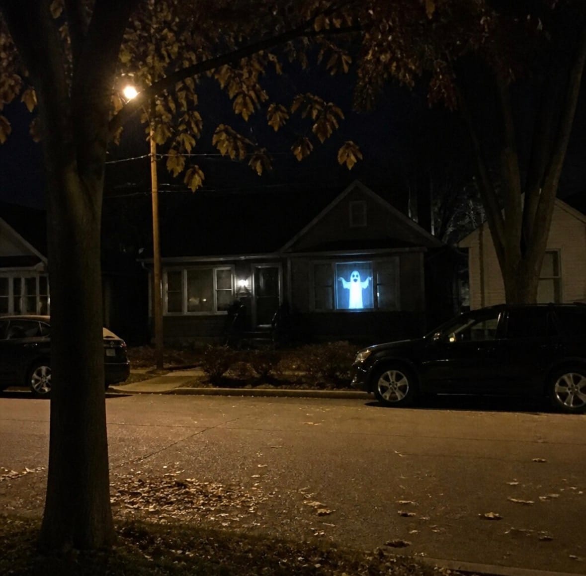 Customer photo review of DarkCast Halloween Projector™