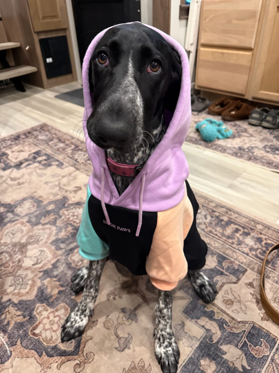 Customer photo review of Cyber Punk Dog Hoodie