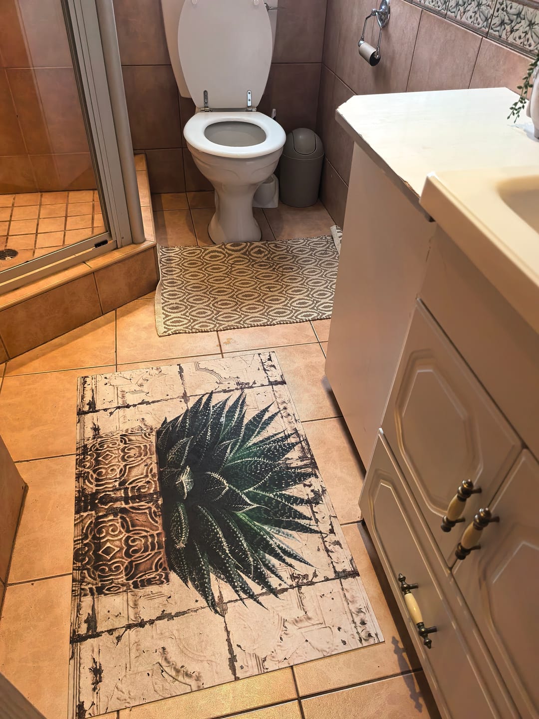 Customer photo review of Plants | Succulent in Pot | Vinyl | Floor Mat