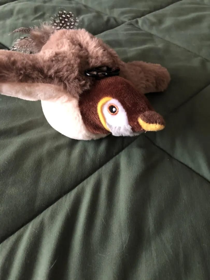 Customer photo review of Realistic Chirping Bird Cat Toy with Flapping Wings