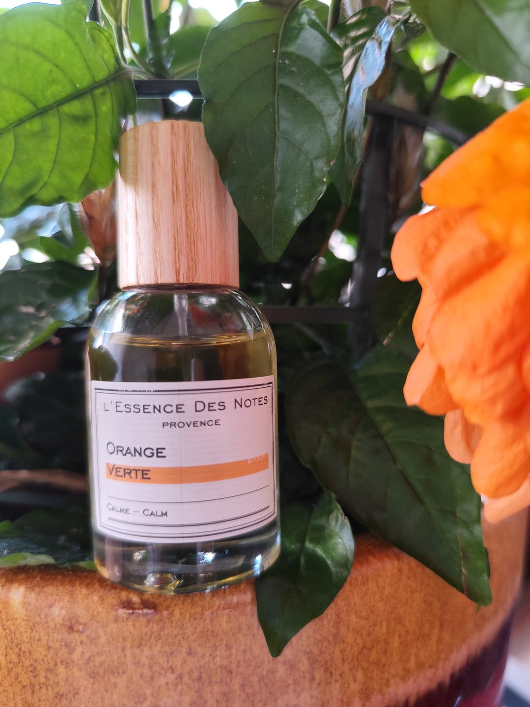 Customer photo review of Orange Verte